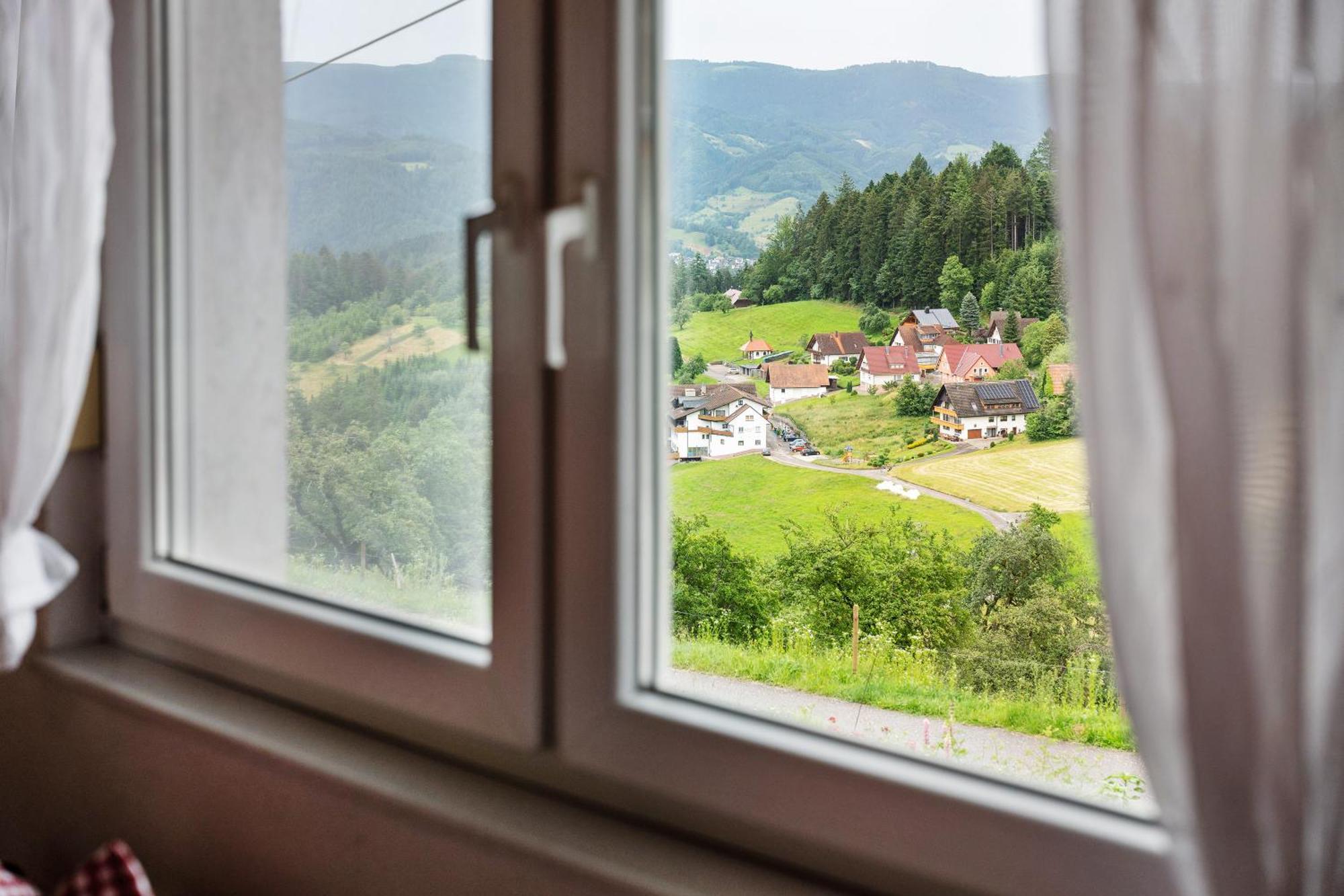 Gruener Ausblick Appartement Oberkirch  Buitenkant foto