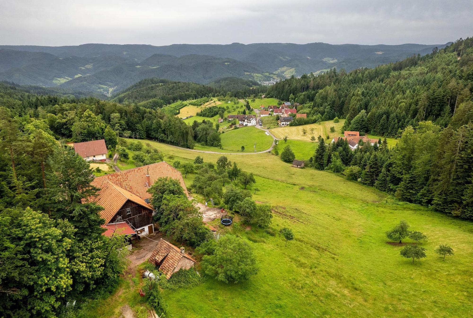 Gruener Ausblick Appartement Oberkirch  Buitenkant foto