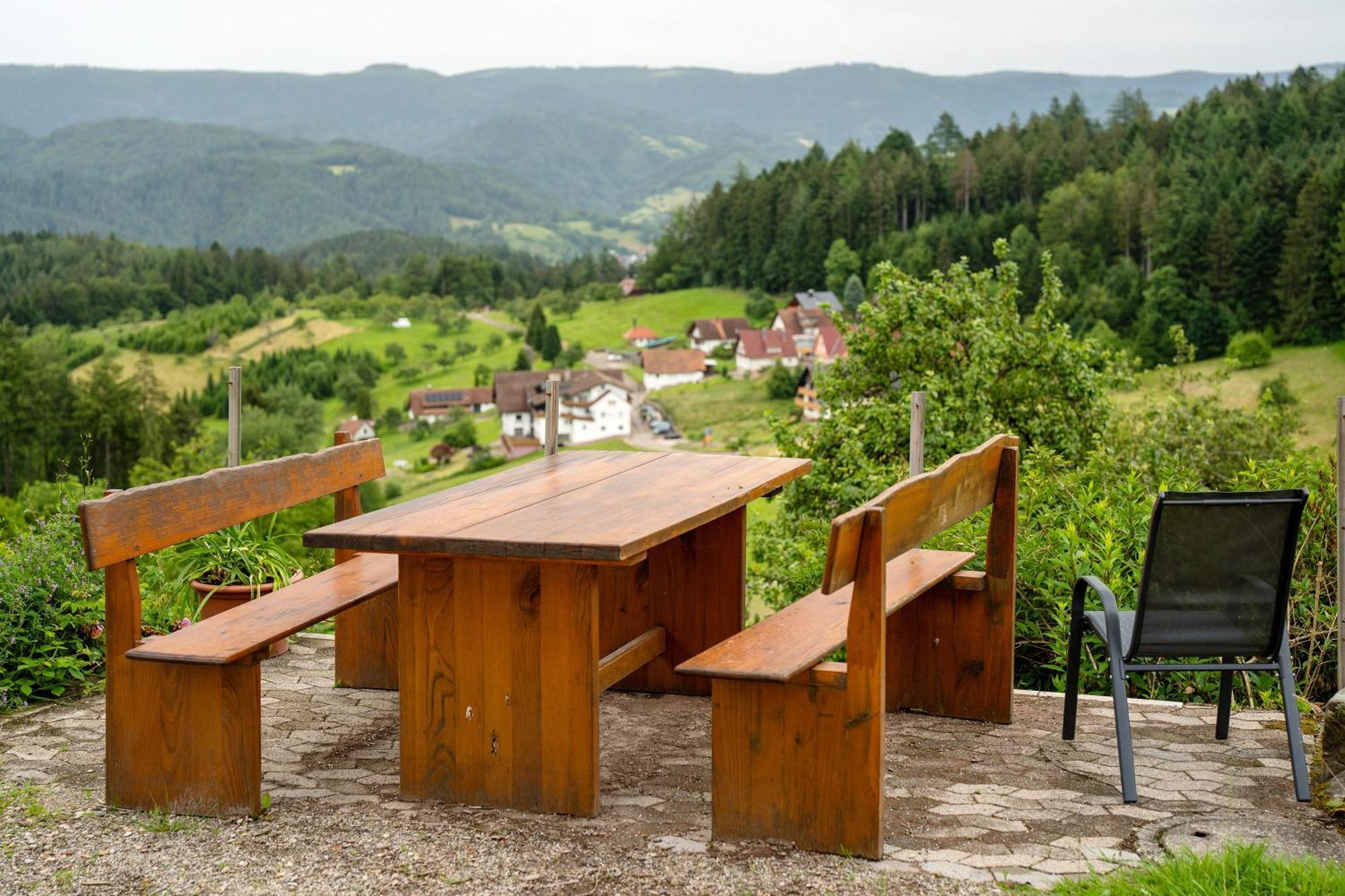 Gruener Ausblick Appartement Oberkirch  Buitenkant foto